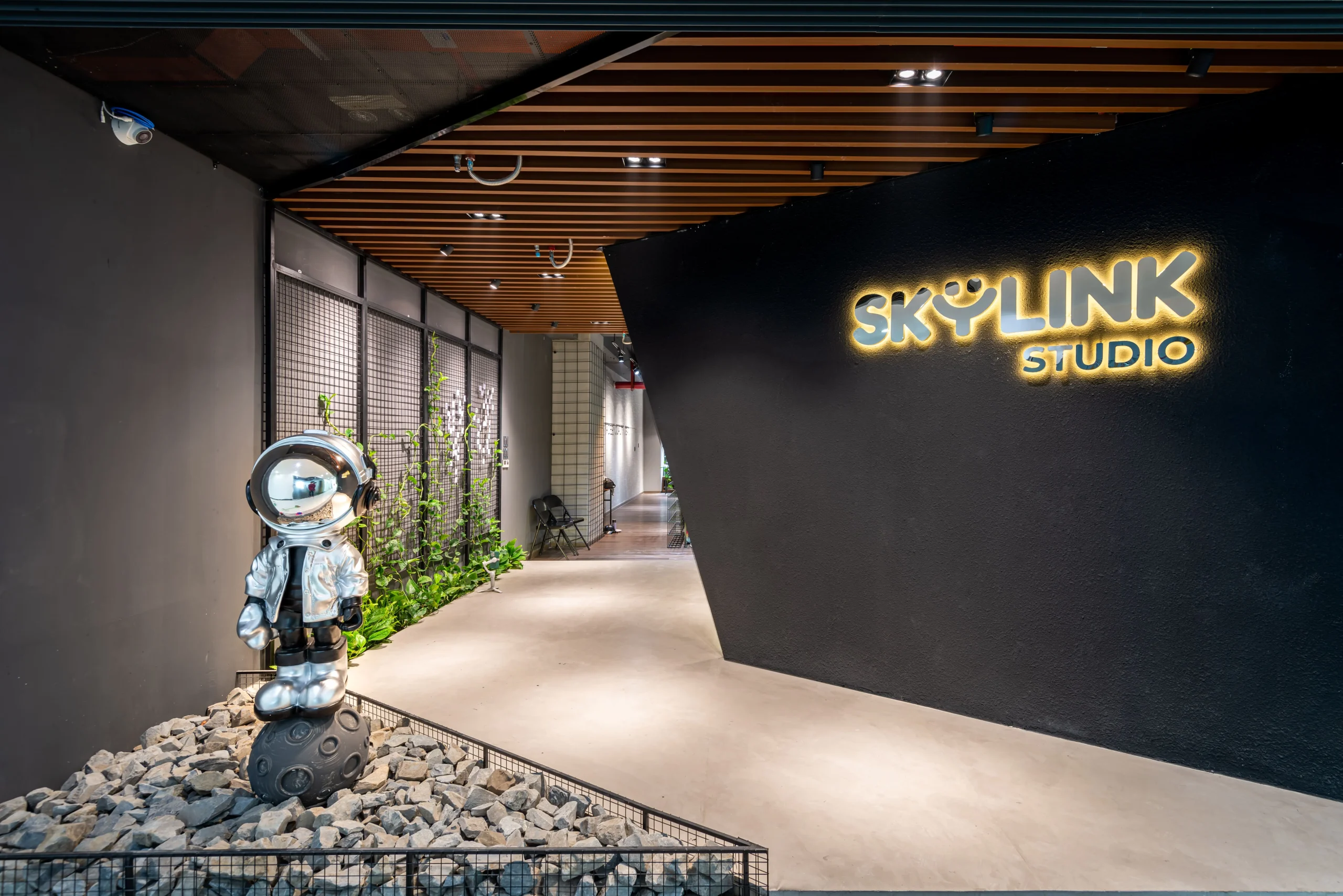 Skylink Studio
