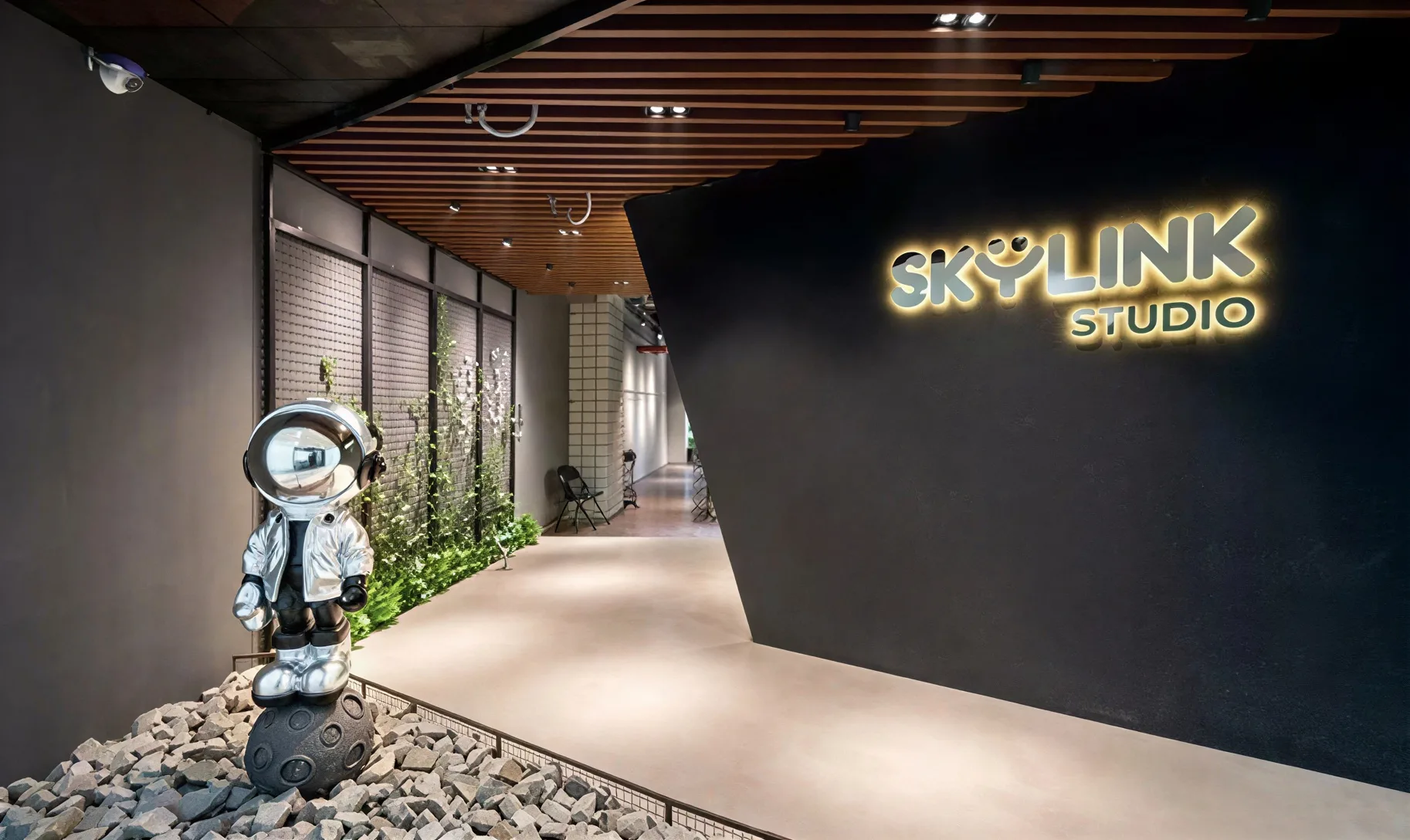 Skylink Studio